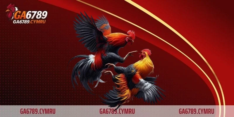 Nhóm vảy thường gặp