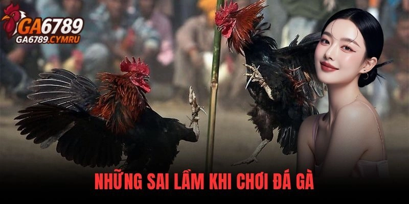 Những Sai Lầm Khi Chơi Đá Gà Khiến Người Tham Gia Thua Nhanh